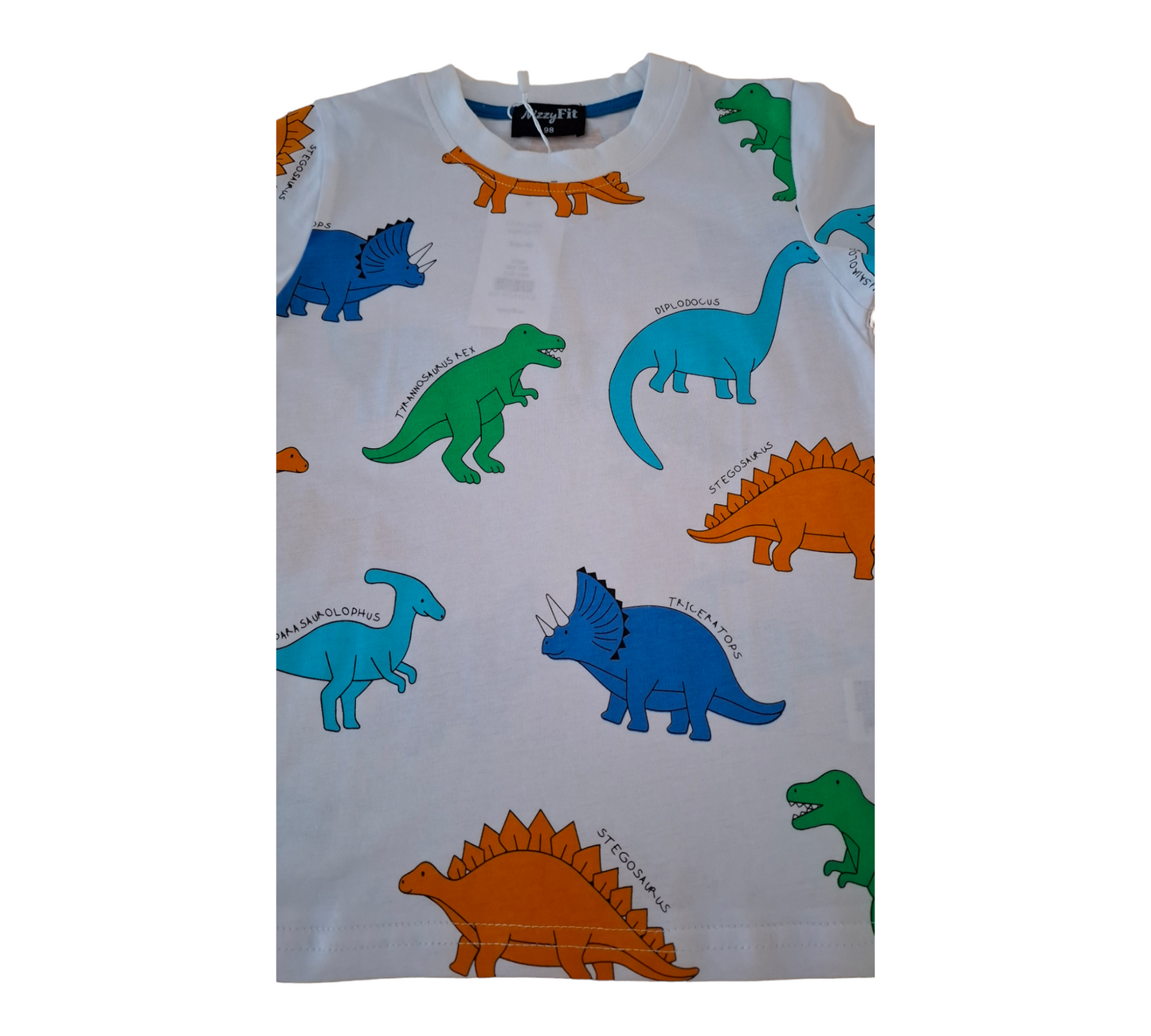 NizzyFit dinosaur t-shirt